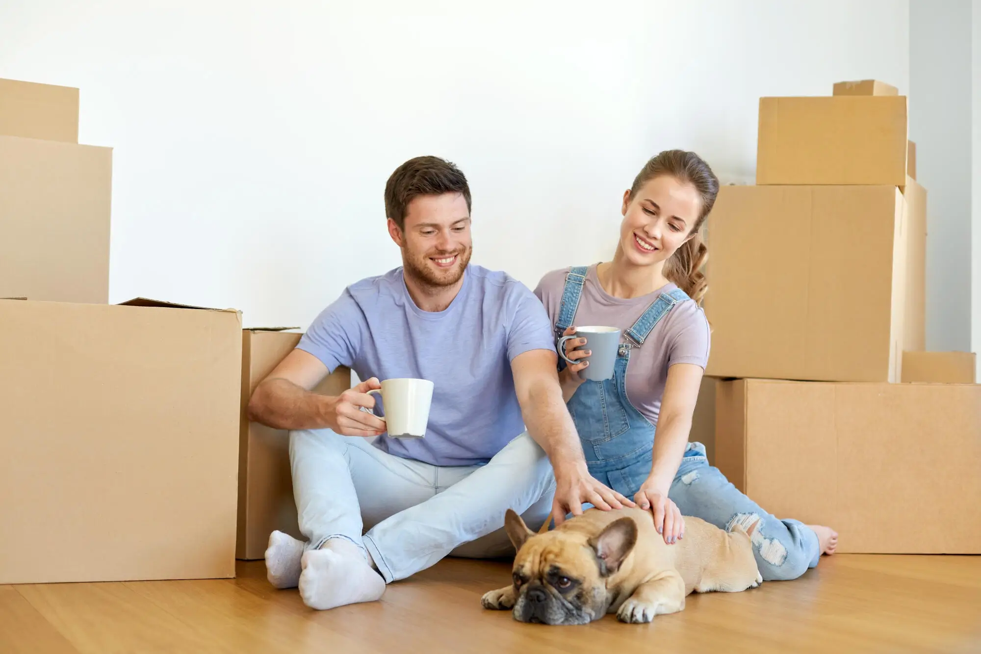 Pets in a Rental Property: Essential Tips for Jacksonville, NC Landlords